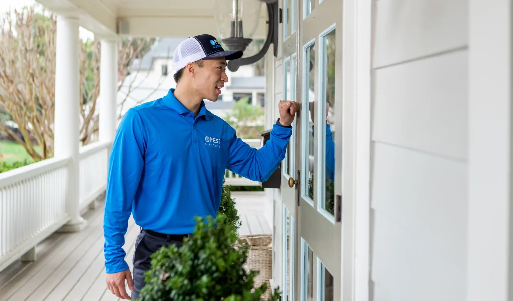 Top Pest Control Mistakes Homeowners Make and How to Avoid Them